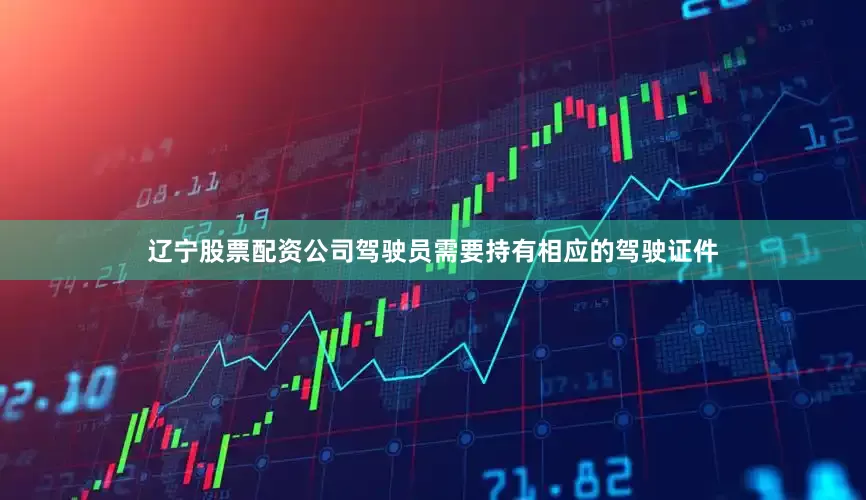辽宁股票配资公司驾驶员需要持有相应的驾驶证件